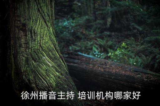  徐州播音主持 培训机构哪家好