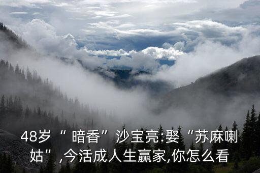 48岁“ 暗香”沙宝亮:娶“苏麻喇姑”,今活成人生赢家,你怎么看