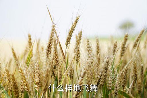 什么样地飞舞