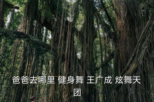 爸爸去哪里 健身舞 王广成 炫舞天团