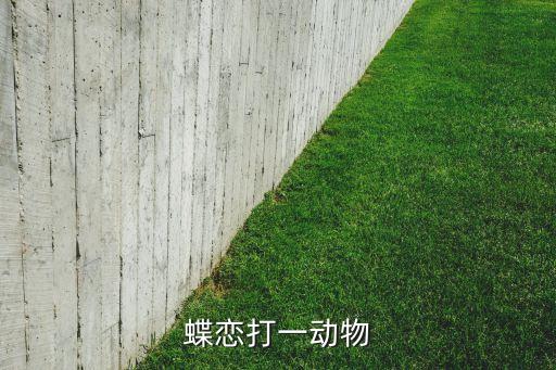 碟恋花开猜什么动物，蝴蝶恋花自古是打一生肖