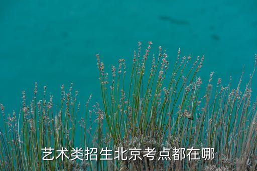 北京小鹿艺考地址，艺术类招生北京考点都在哪