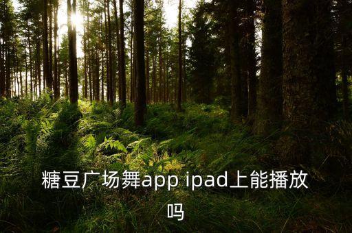 糖豆广场舞app ipad上能播放吗