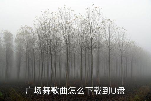怎么下载广场舞拉萨夜雨，下载广场舞曲怎么下