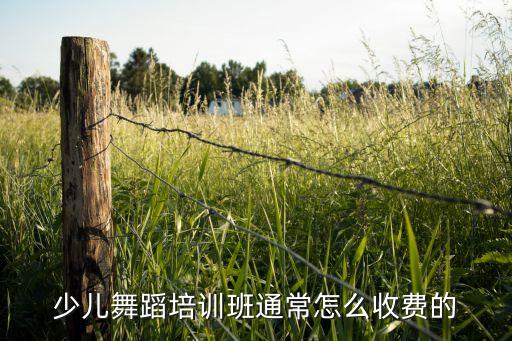 舞蹈培训班收费价目表图片，肚皮舞培训班多少钱