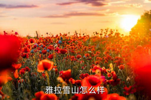 雅拉雪山怎么样