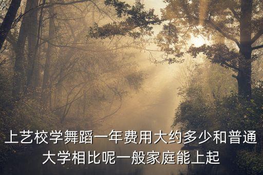 学舞蹈一年大概多少钱，学音乐舞蹈要多少钱