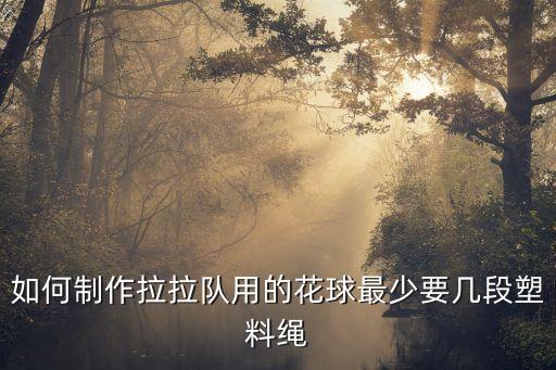 啦啦队花球怎么做视频，拉拉队花球怎么做