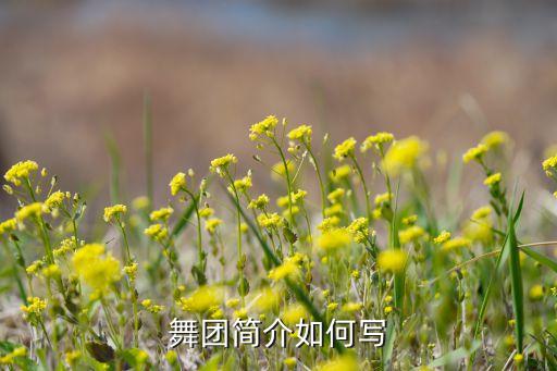 广场舞队简介 怎么写，广场舞参赛组简介怎样写