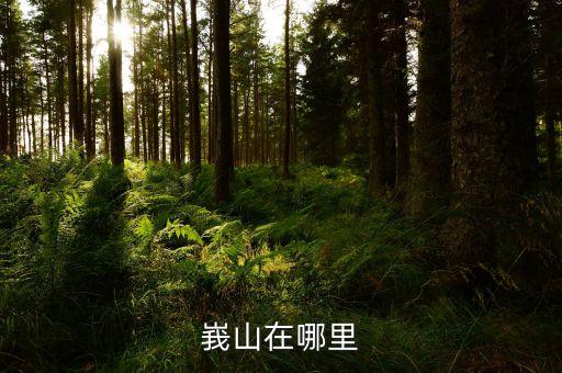 舞姨山在哪里的，广东韶山在哪里