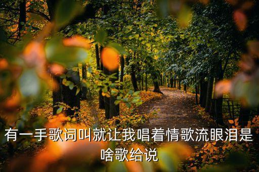 就让我唱着情歌流眼泪是什么歌，就让我听着情歌流眼泪歌名是什么啊