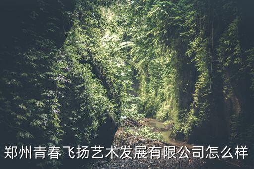 郑州青春飞扬艺术发展有限公司怎么样