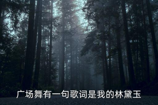 广场舞有一句歌词是我的林黛玉