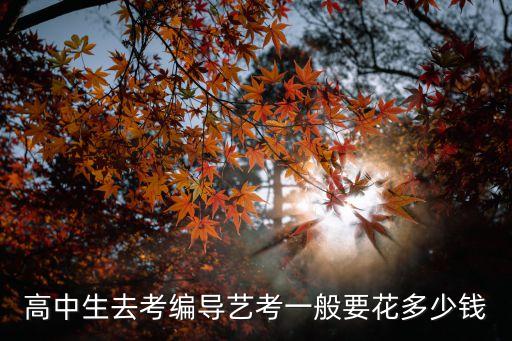 艺考费用大概多少钱啊18岁，高中生去考编导艺考一般要花多少钱