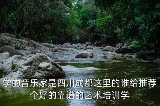 学的音乐家是四川成都这里的谁给推荐个好的靠谱的艺术培训学
