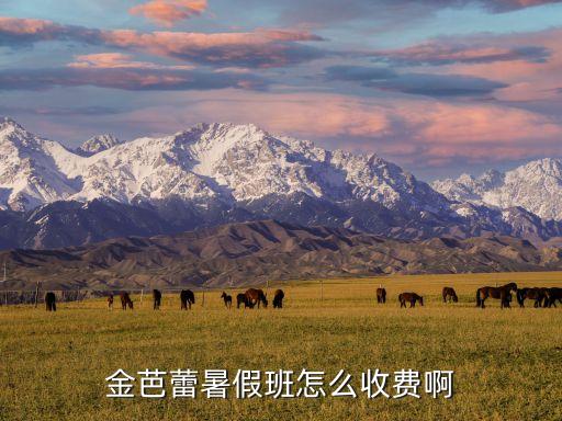 舞蹈暑假班一般多少钱一小时，浦江哪位高手暑假要开街舞培训班收费大概多少