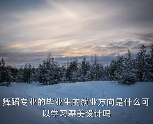 舞蹈专业的毕业生的就业方向是什么可以学习舞美设计吗
