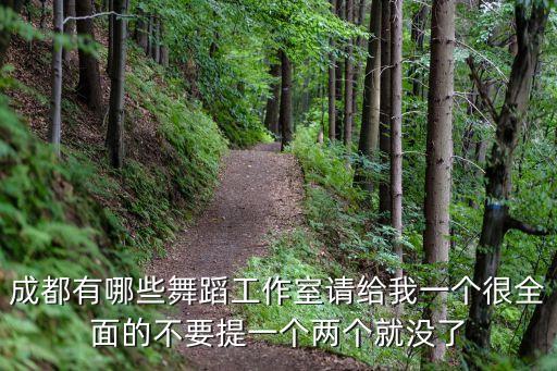成都有哪些舞蹈工作室请给我一个很全面的不要提一个两个就没了