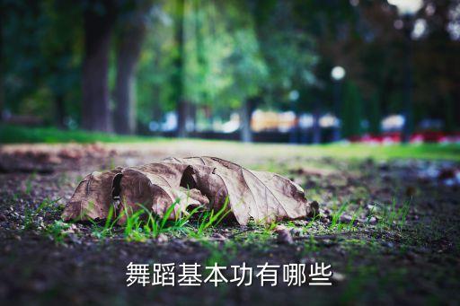 初学跳舞基本功有哪些动作，舞蹈基本功有哪些