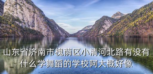 山东省济南市槐荫区小清河北路有没有什么学舞蹈的学校阿大概好像