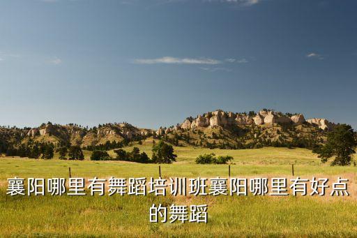 襄阳哪里有舞蹈培训班襄阳哪里有好点的舞蹈