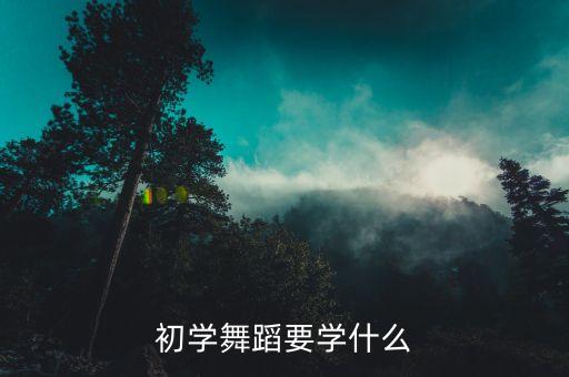 初学者学舞蹈 从什么学起，学跳舞没有基础应该先从什么学起接下来呢