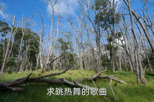 求跳热舞的歌曲