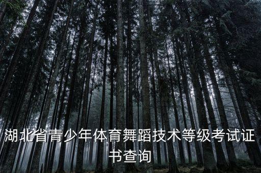 湖北省青少年体育舞蹈技术等级考试证书查询