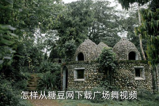 怎样从糖豆网下载广场舞视频