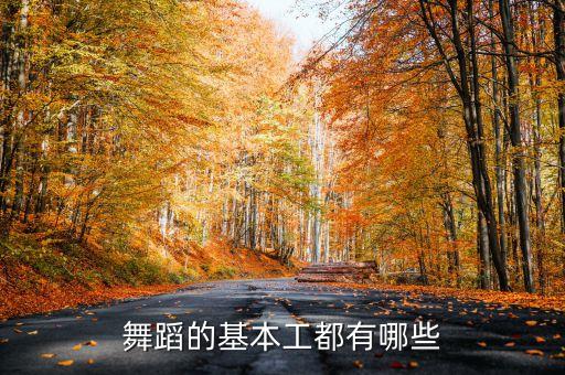 舞蹈的基本工都有哪些