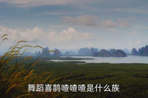 喜鹊喳喳喳舞蹈表现什么，舞蹈主要表现在什么