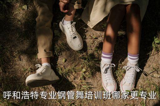 呼和浩特专业钢管舞培训班哪家更专业