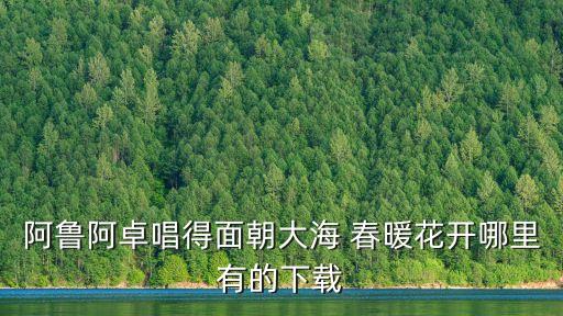 阿鲁阿卓唱得面朝大海 春暖花开哪里有的下载
