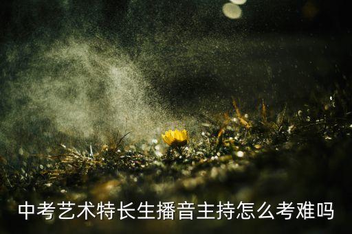 中考艺术特长生播音主持怎么考难吗