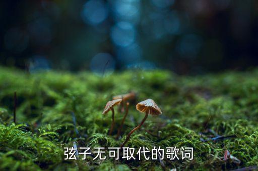 弦子无可取代的歌词
