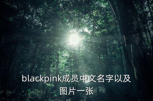 blackpink成员中文名字以及图片一张