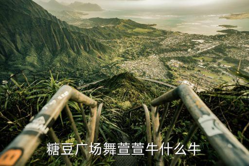 你你什么牛广场舞茉莉广场舞 百度视频大全，广场舞你牛甚么牛mp3