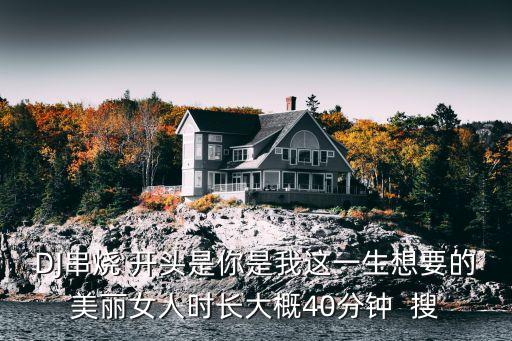 DJ串烧 开头是你是我这一生想要的美丽女人时长大概40分钟  搜