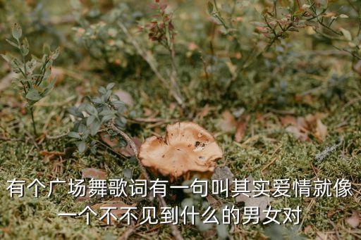 有个广场舞歌词有一句叫其实爱情就像一个不不见到什么的男女对