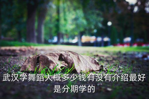 古典舞培训班多少钱，湖南长沙艺术学校怎么样 我要学舞蹈专业学费是多少