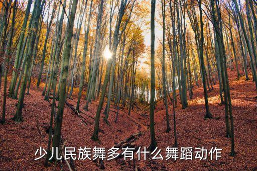 少儿民族舞多有什么舞蹈动作