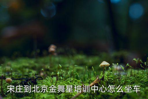 宋庄到北京金舞星培训中心怎么坐车
