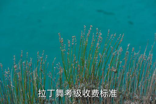 拉丁舞考级收费标准