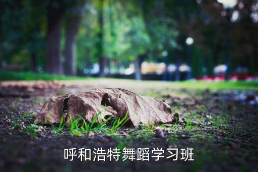 呼和浩特舞蹈培训机构哪家好，呼和浩特舞蹈学习班