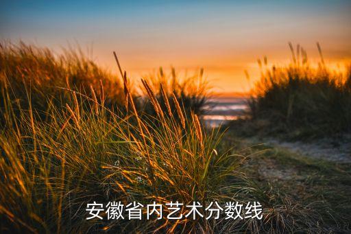 安徽省内艺术分数线