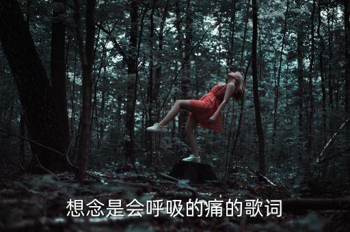 想念是会呼吸的痛的歌词