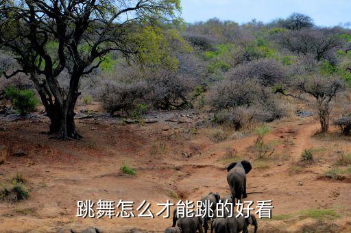 怎么才能跳舞好看，怎样跳舞才好看