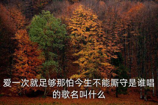 爱一次就足够那怕今生不能厮守是谁唱的歌名叫什么