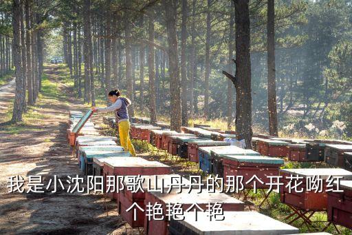 花儿红艳艳是什么歌，山丹丹的那个花 歌叫什么名字