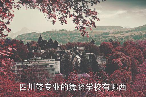 四川较专业的舞蹈学校有哪西